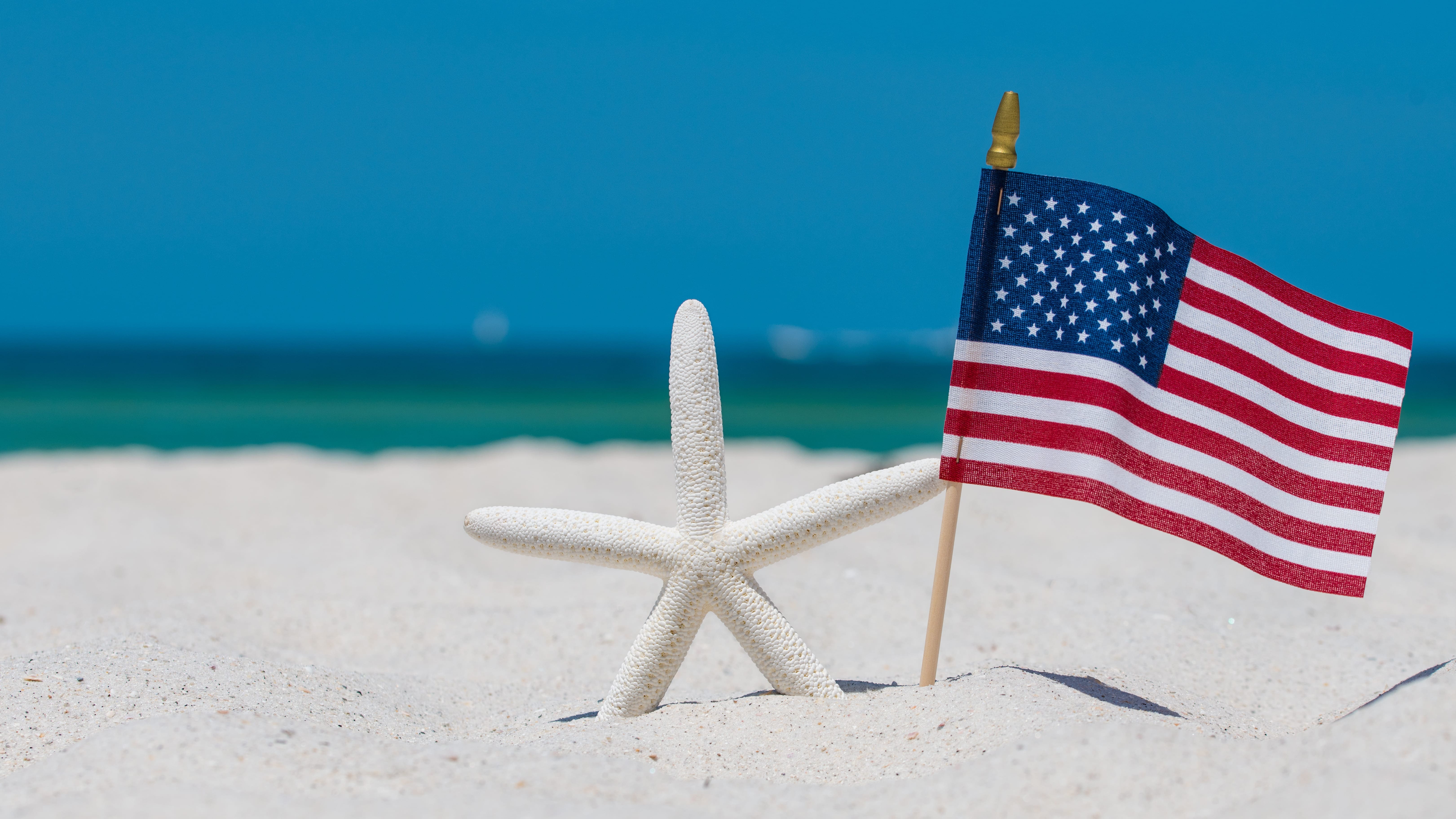 American flag next to a starfish on a beach in Florida